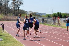 Enlarge photo 422
