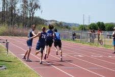 Enlarge photo 423