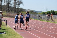 Enlarge photo 424