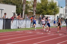 Enlarge photo 459