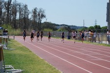 Enlarge photo 461
