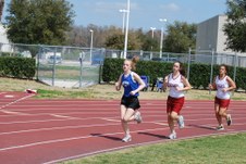 Enlarge photo 484