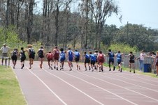 Enlarge photo 504