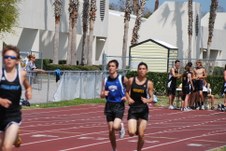 Enlarge photo 512