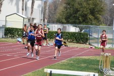 Enlarge photo 519