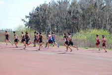 Enlarge photo 762