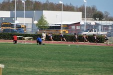 Enlarge photo 778