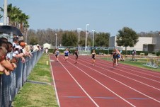 Enlarge photo 786