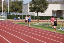 Enlarge photo 867