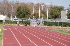 Enlarge photo 877