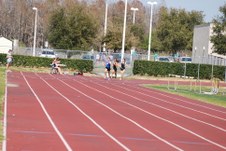 Enlarge photo 878