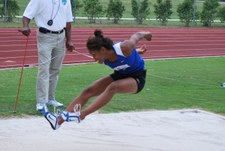 Enlarge photo 230