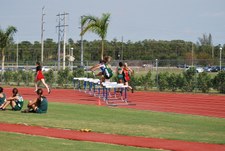 Enlarge photo 320