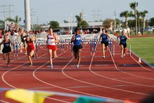 Enlarge photo 479