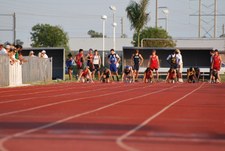 Enlarge photo 496