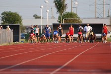 Enlarge photo 497