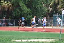 Enlarge photo 97