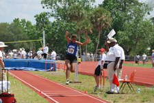 Enlarge photo 195