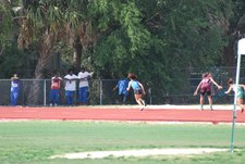 Enlarge photo 229