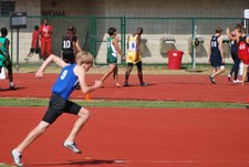 Enlarge photo 241