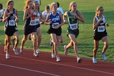 Enlarge photo 341