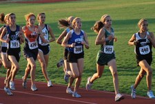 Enlarge photo 342