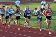Enlarge photo 347