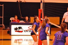 Enlarge photo 176