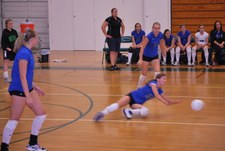 Enlarge photo 51