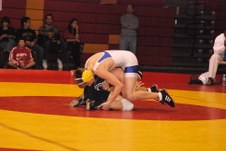 Enlarge photo 151