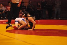 Enlarge photo 155