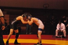 Enlarge photo 244