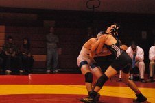 Enlarge photo 252
