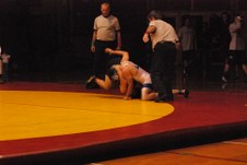 Enlarge photo 271