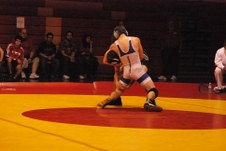 Enlarge photo 283