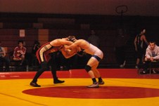 Enlarge photo 311