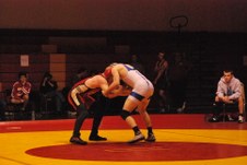 Enlarge photo 313