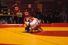 Enlarge photo 392