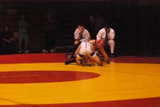 Enlarge photo 442