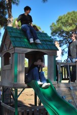 Enlarge photo 56