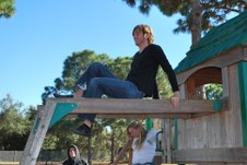 Enlarge photo 87
