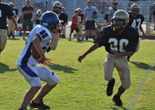 Enlarge photo 47