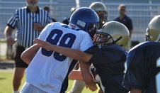 Enlarge photo 48