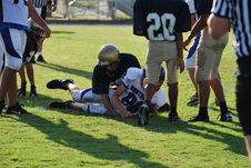 Enlarge photo 49