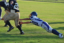Enlarge photo 80