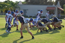 Enlarge photo 87