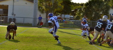 Enlarge photo 102