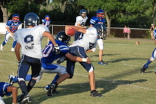 Enlarge photo 41
