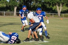 Enlarge photo 43
