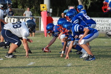 Enlarge photo 74